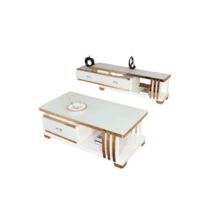 Table basse et TV 203