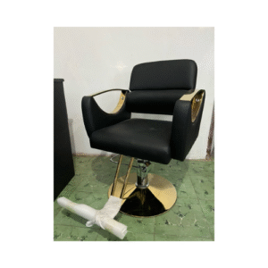 Chaise de salon de coiffure LVXTAN-A02