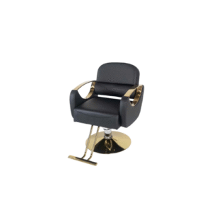Chaise de salon de coiffure LVXTAN-A02