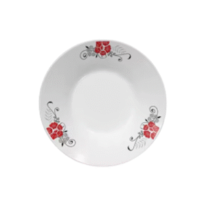 Jeu de 6 assiettes en porcelaine