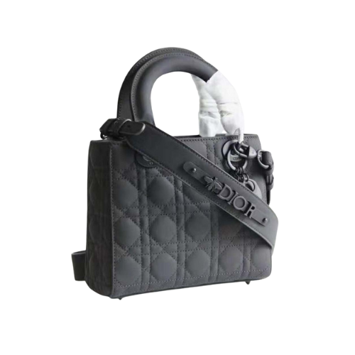 Sac Dior-010