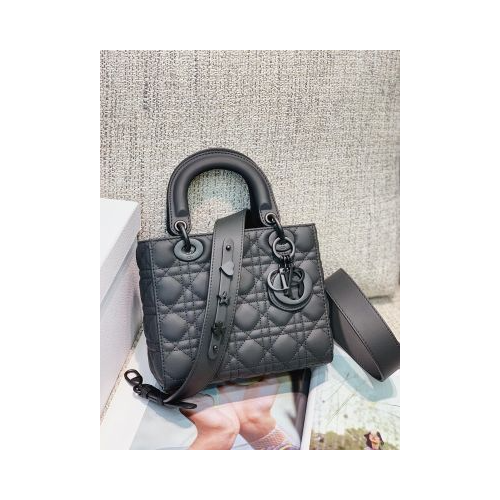 Sac Dior-010 – Image 2