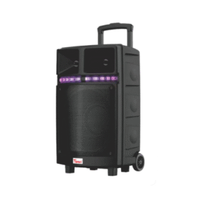 Enceinte Bluetooth TANAKA LVXTAN-307