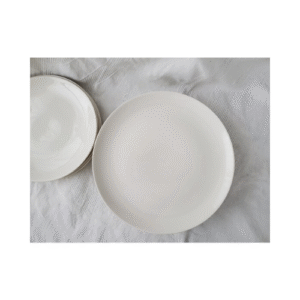 jeu de 6 assiettes en porcelaine