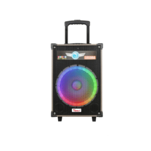 Enceinte Bluetooth TANAKA LVXTAN-12Q3