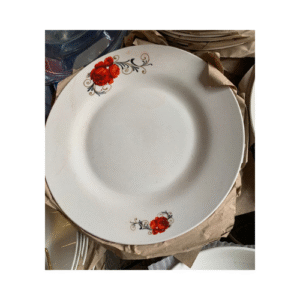 Jeu de 6 assiettes en porcelaine