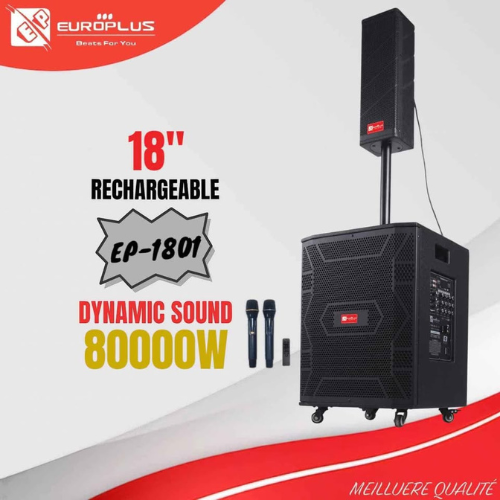 Haut-parleur rechargeable 18" EUROPLUS 80000W EP-1801 – Image 2