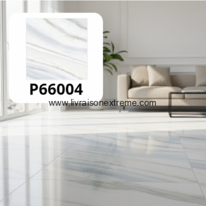 Carreaux de sol en porcelaine brillant 60x60