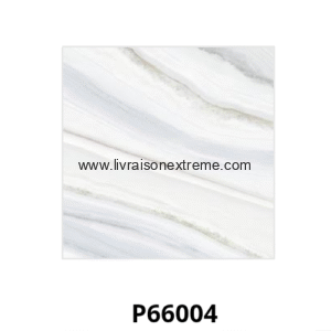 Carreaux de sol en porcelaine brillant 60x60