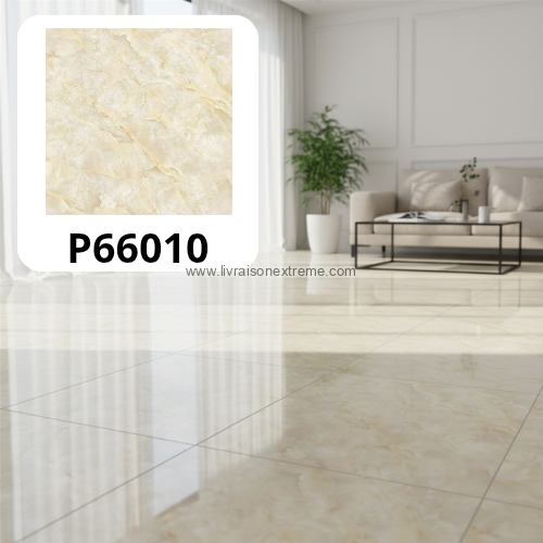 Carreaux de sol en porcelaine brillant 60x60 – Image 20