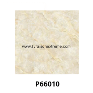 Carreaux de sol en porcelaine brillant 60x60