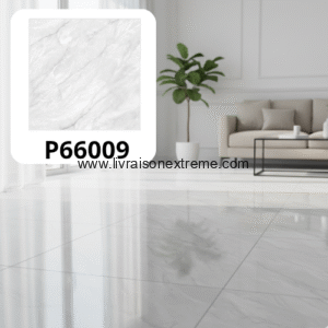 Carreaux de sol en porcelaine brillant 60x60