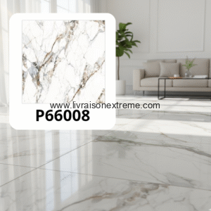 Carreaux de sol en porcelaine brillant 60x60