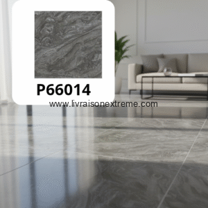 Carreaux de sol en porcelaine brillant 60x60