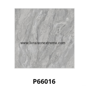 Carreaux de sol en porcelaine brillant 60x60