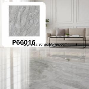 Carreaux de sol en porcelaine brillant 60x60