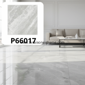 Carreaux de sol en porcelaine brillant 60x60