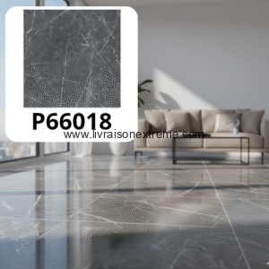 Carreaux de sol en porcelaine brillant 60x60