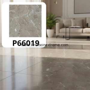 Carreaux de sol en porcelaine brillant 60x60