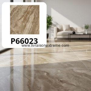 Carreaux de sol en porcelaine brillant 60x60