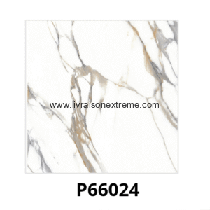 Carreaux de sol en porcelaine brillant 60x60