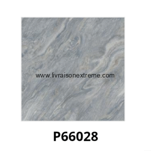 Carreaux de sol en porcelaine brillant 60x60