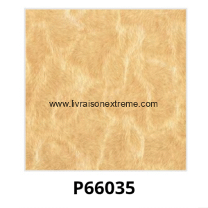 Carreaux de sol en porcelaine brillant 60x60