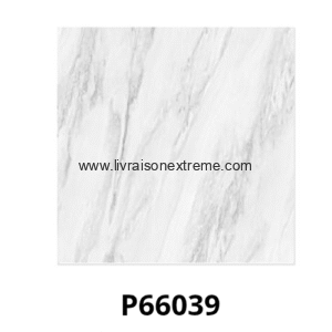 Carreaux de sol en porcelaine brillant 60x60