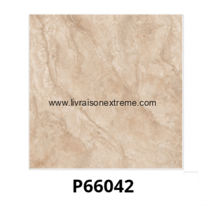 Carreaux de sol en porcelaine brillant 60x60