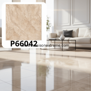 Carreaux de sol en porcelaine brillant 60x60