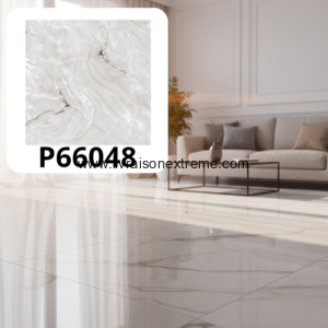 Carreaux de sol en porcelaine brillant 60x60