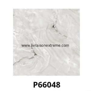 Carreaux de sol en porcelaine brillant 60x60