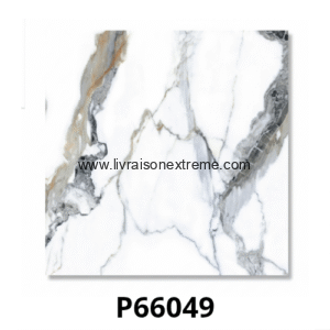 Carreaux de sol en porcelaine brillant 60x60