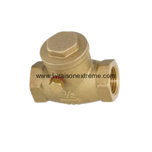 Clapet de retenue en laiton – Valve anti-retour femelle/femelle