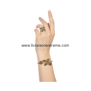 Ensemble bracelet et bague en papillon