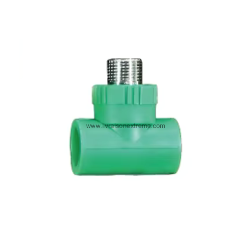 Té mâle PPR avec insert laiton – raccord en T – Image 3