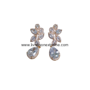 Boucles d'oreilles en motif feuille et goutte cristal