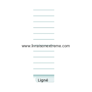 Cahier SMART 1B5/1B4 – 120 pages