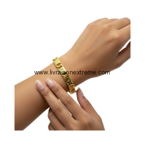 Bracelet Louis Vuitton
