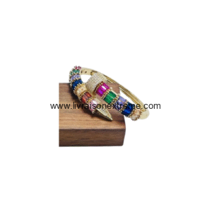 Bracelet jonc multicolore