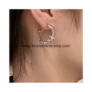 Boucles d'oreilles mini créoles Regalia
