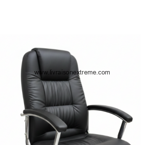 Fauteuil de direction pivotante à 5 roulettes – “Executive Comfort” - lvxtnF013