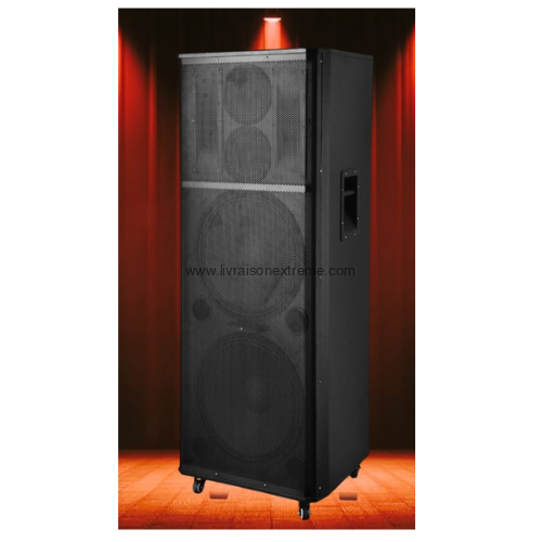 Enceinte professionnelle rechargeable EUROPLUS -15 pouce -25 pro – “Ultimate DJ Sound” – Image 2