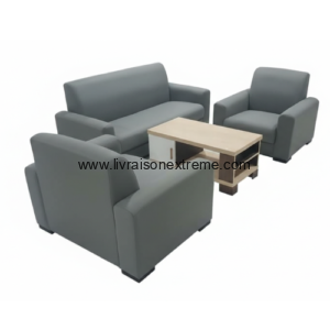 Canapé en Cuir - (3+2+1) 66 – “moderne et durable”