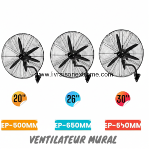 Ventilateur Mural EUROPLUS – “Cooling For You”- Série EP