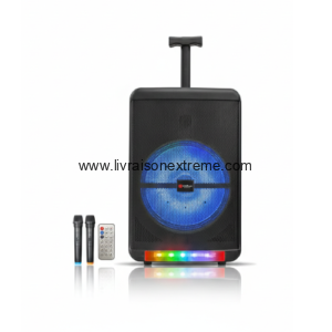 Baffle rechargeable EUROPLUS EP-305-12 - 8,500W - Professional Battery Speaker”