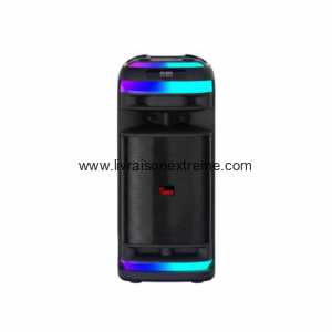 Tanaka PartyBoom TK‑08D6B – Enceinte Bluetooth Festive