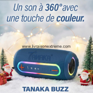 Enceinte Portable Bluetooth Tanaka BUZZ TK‑777 