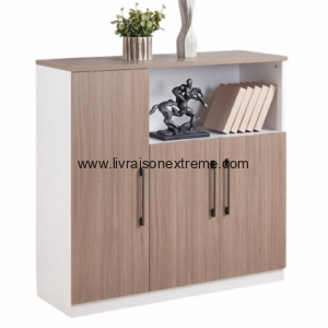 Meuble de Rangement-LQ5405