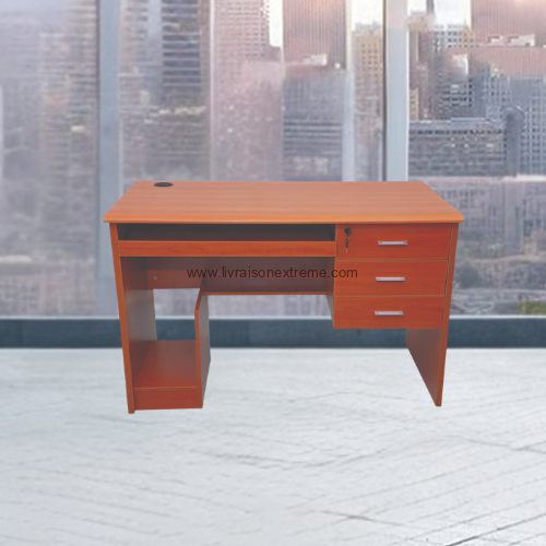 Table de bureau LVXTAN 24 – 1.2 mètre – Image 2